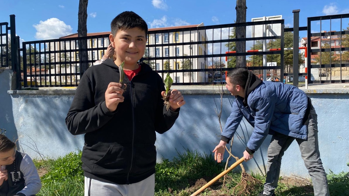 Okul Bahçemize Meyve ve Lale Fidanları Diktik